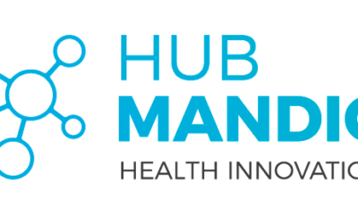 Hub Mandic